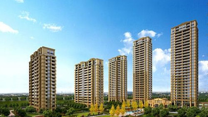 山东房地产库存持续降低