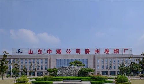 中央确定济南为中心城市,鲁南 临沂 枣庄 济宁5大总部迁省会