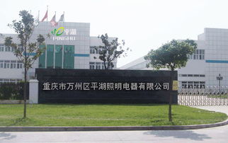 重庆市万州区 平湖照明 电器公司简介