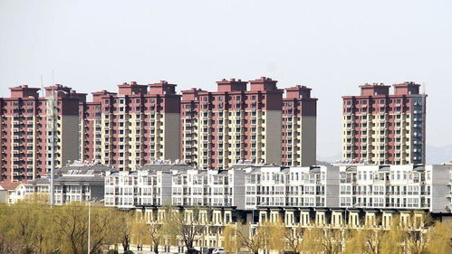 山东 对新市民 青年人等群体团购商品房给予支持