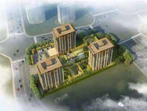 汉峪片区 楼市微凉下的 坚强派