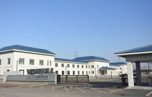 中斯水灵 以VFL核心技术助推水治理行业提标改造