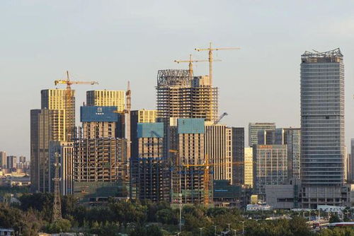 山东房地产的下一个五年 稳中求进，转型与高质量发展并行